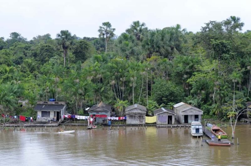 Belém: Half-Day Furos Boat Tour & Riverside Community Visit - The Amazon Landscape and Ecosystem