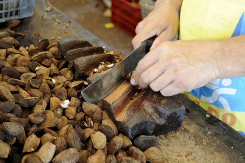 Belém: Ver-o-Peso Market and Full-Day City Tour with Lunch - Key Points