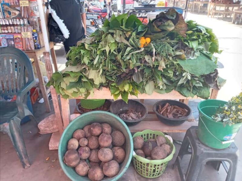Belen Market & Floating City 2-3 Hour Private Tour - Exploring Loretos Water and Market Scene