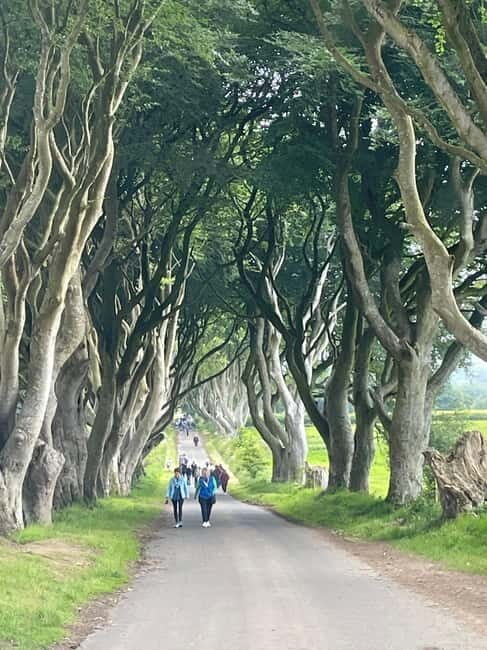 Belfast city & Giants causeway private tour - Giants Causeway: Nature’s Masterpiece