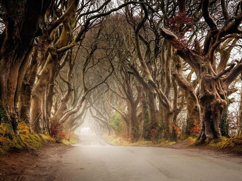Belfast: Giant's Causeway Tour and 2-Day Open Top-Bus Tour - A detailed review of the Belfast: Giants Causeway Tour and 2-Day Open Top Bus Tour