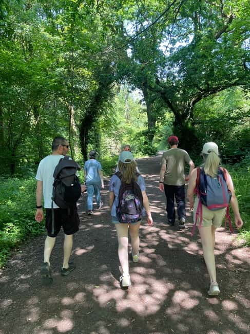 Belfast: Sir Thomas & Lady Dixon Park Walk & Alfresco Picnic - Key Points