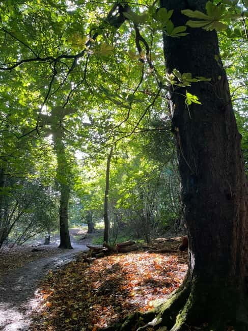Belfast: Sir Thomas & Lady Dixon Park Walk & Alfresco Picnic - FAQs