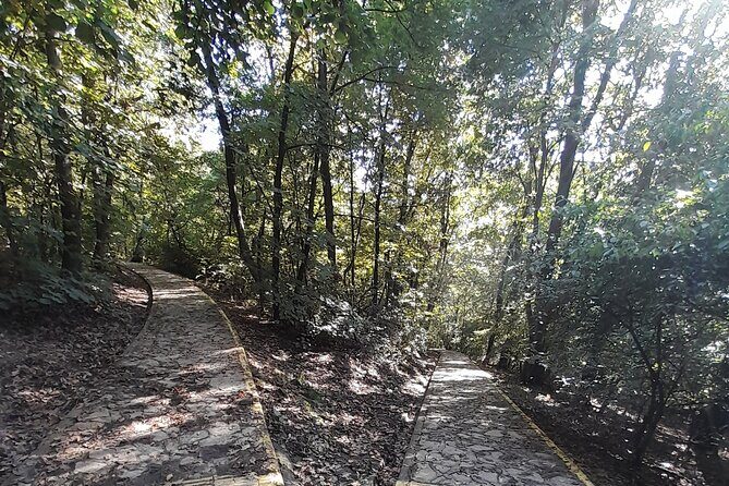 Belgrade Hiking Tour On Mountain Avala - Practical Details and What to Expect