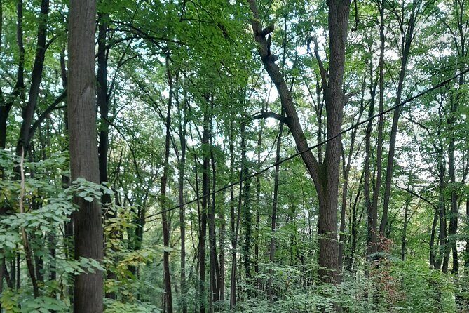 Belgrade Hiking Tour On Mountain Avala - Who Will Enjoy This Tour?