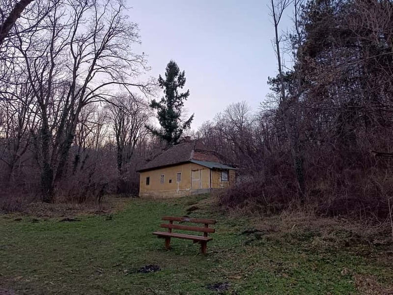 Belgrade: Kosutnjak forest hiking tour - What to Expect During the Tour