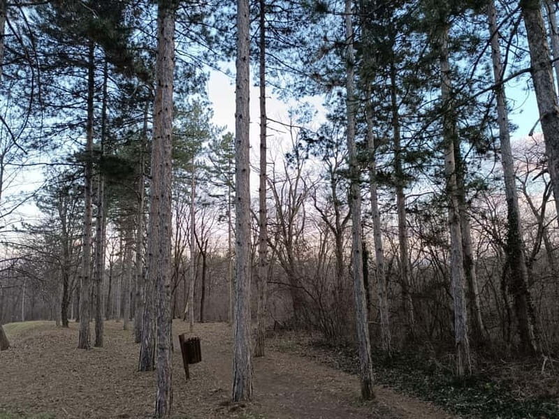 Belgrade: Kosutnjak forest hiking tour - Practicalities and Tips