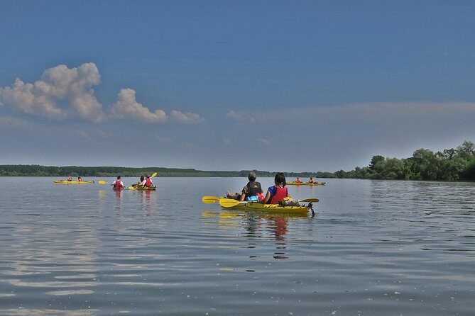 Belgrade War Island Kayak Tour - Who Will Love This Experience?