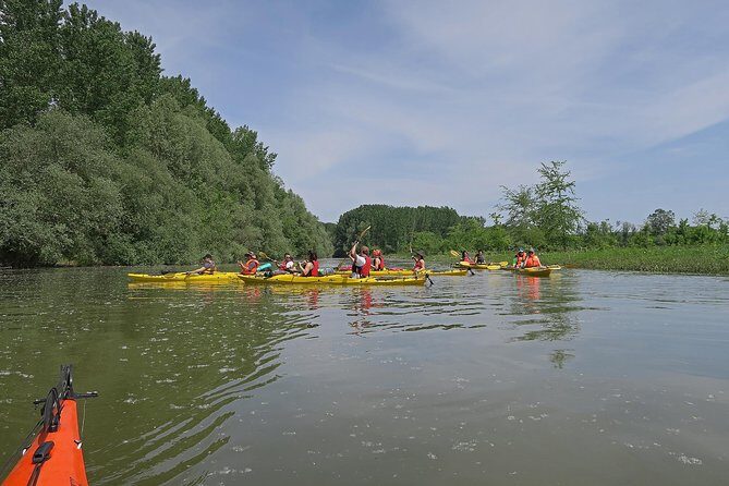 Belgrade War Island Kayak Tour - The Sum Up: Is This Tour Worth Your Time?