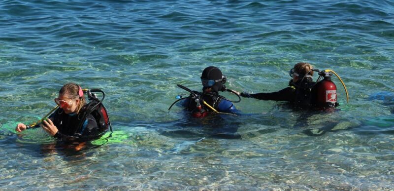 Beli - Discovery dive - The Practical Details: Price, Duration, and Whats Included