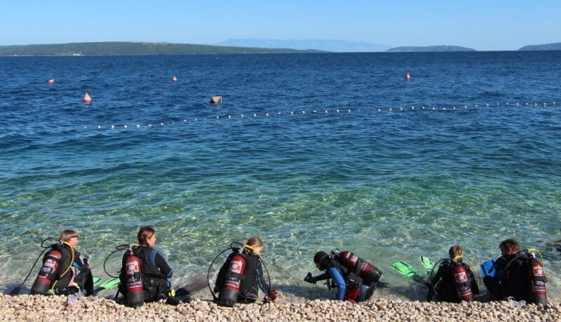 Beli - Discovery dive - The Experience Provider and Other Similar Tours