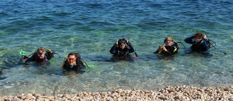 Beli - Discovery dive - Who This Tour Is Best For