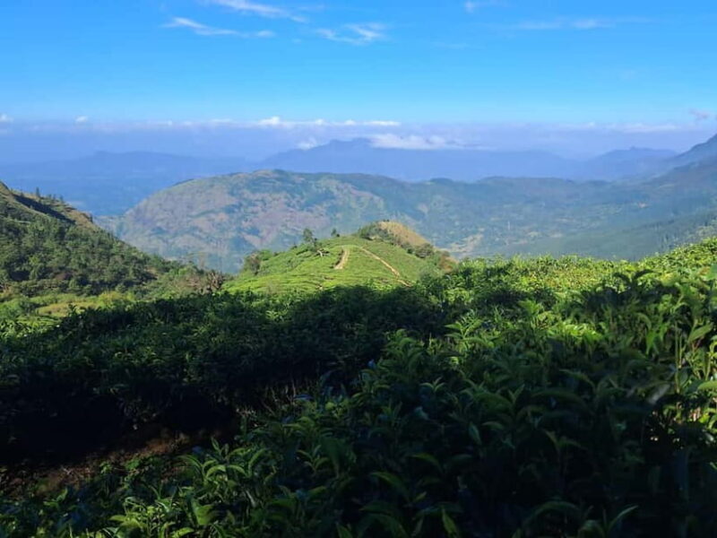 Belihuloya: Bakers Bend Hiking Trail Guided Tour - Key Points