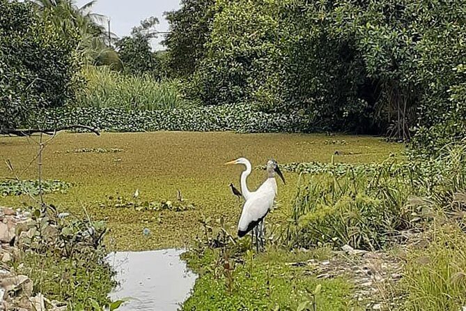 Belize City Culture, Nature, Rum tasting, V.i.V. - Authentic Insights from Travelers