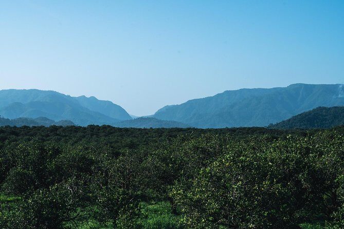 Belize International Airport To Hopkins Village ( Private Shuttle ) - FAQ