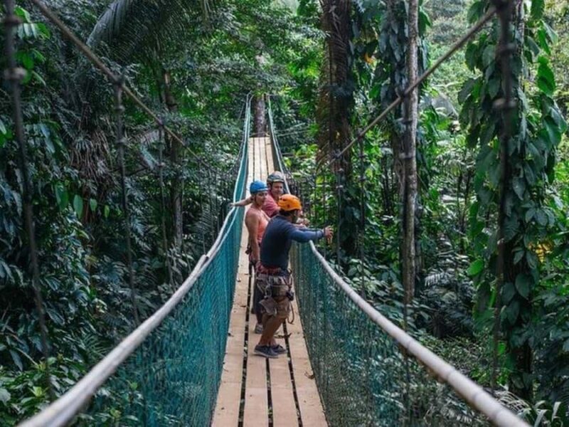 Belize: Thrilling Zipline Adventure at Bocawina Rainforest - Belize: Thrilling Zipline Adventure at Bocawina Rainforest