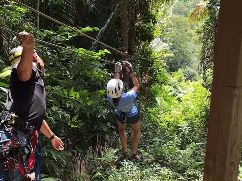 Belize: Thrilling Zipline Adventure at Bocawina Rainforest - What Makes This Zipline Special?