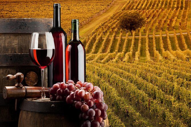 Bella Toscana Private Tour: 2 Chianti Wineries and San Gimignano From Livorno - The Sum Up