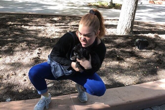 Belleville City Scavenger Hunt Excursion by Zombie Scavengers - Exploring the Belleville Zombie Scavengers Experience