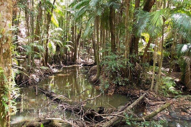 Bellthorpe Rainforest Private Tour - Who Would Enjoy This Tour?