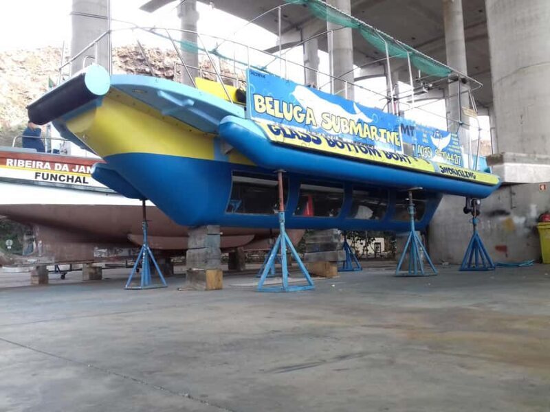 Beluga Submarine Glass-Bottom Boat Tour w/ Snorkeling Option - Key Points