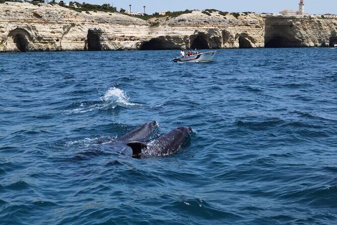 Benagil Caves Tour from Portimao - Final Thoughts