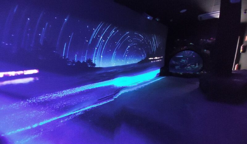 Benalmadena Aquarium Visit - An In-Depth Look at the Aquarium Experience