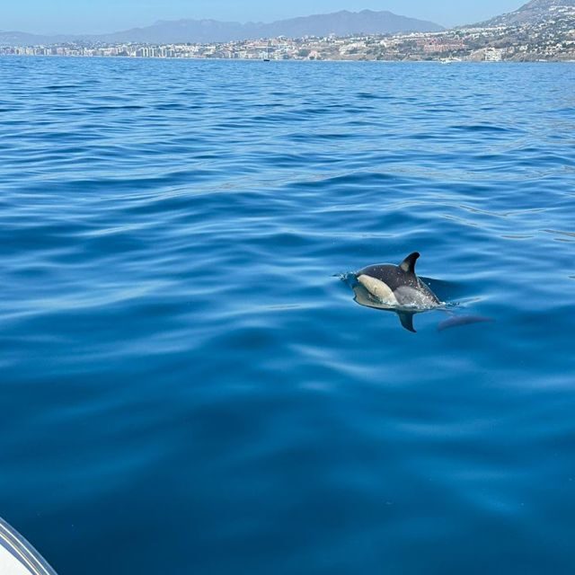 Benalmadena: Boat Rental in Malaga for hours - An In-Depth Look at the Boat Rental Experience