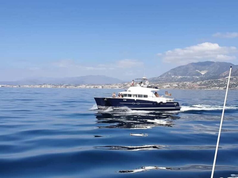 Benalmádena: Catamaran Cruise with Drinks and Swim Stop - Who Will Love This Tour?