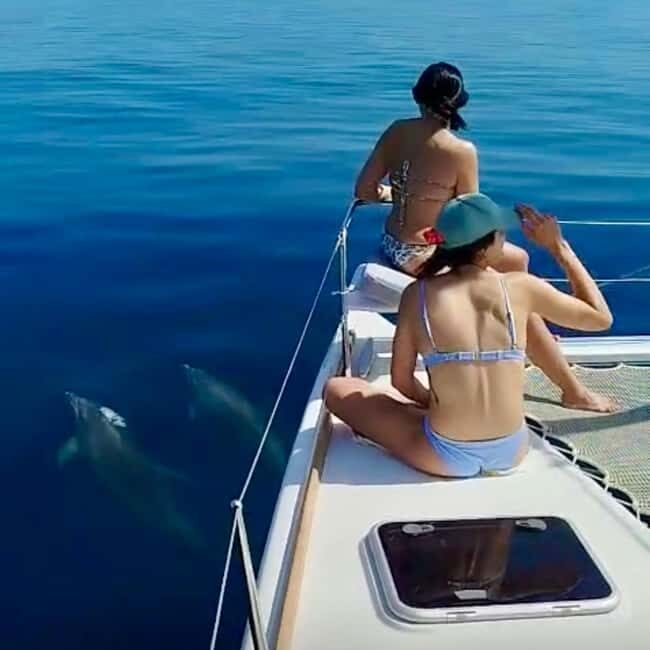 Benalmádena: Catamaran with dolphin watching and drinks - The Experience in Detail