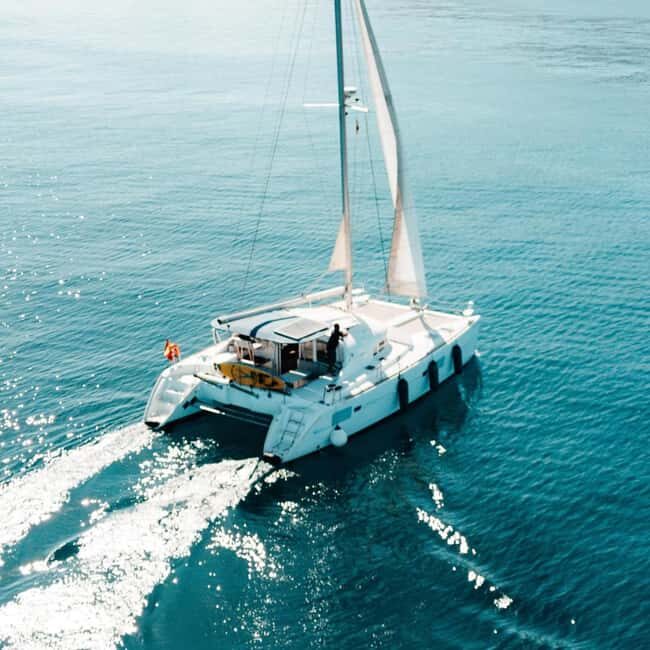 Benalmádena: Catamaran with dolphin watching and drinks - The Value of This Experience
