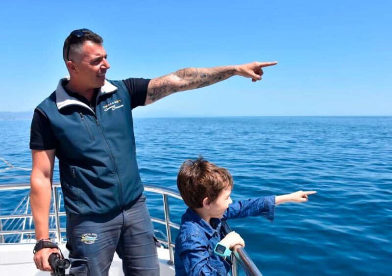 Benalmadena: Dolphin Watching Boat Tour - The Experience in Detail