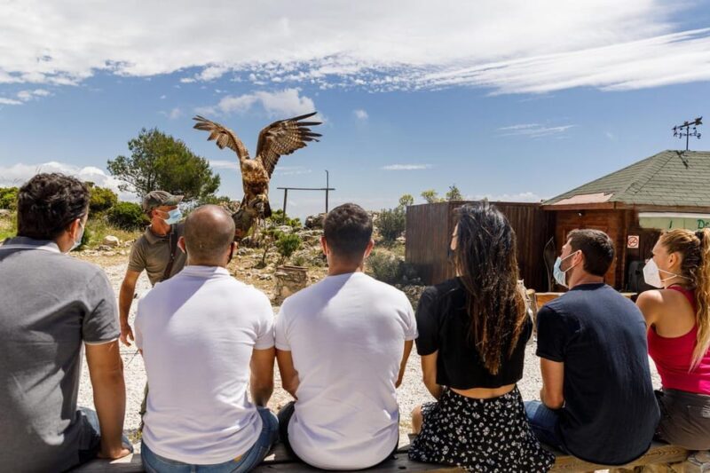 Benalmádena: Mount Calamorro Cable Car Ticket - Who Will Love This Experience?