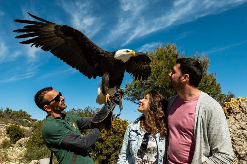 Benalmádena: Mount Calamorro Cable Car Ticket - FAQ