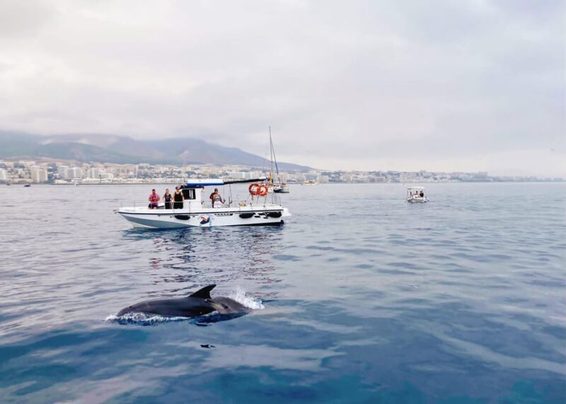 Benalmadena: Private Boat Trip with Drinks & Snacks - An Authentic Day on the Water: The Experience in Detail