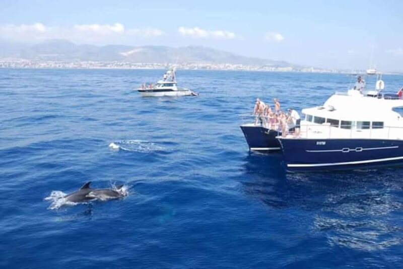 Benalmádena: Private Catamaran Charter for up to 12 People - Practical Details and Considerations