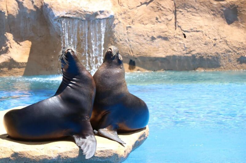 Benalmadena: Selwo Marina Admission Ticket - Key Points