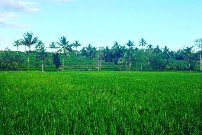 Benang kelambu waterfall and benang stokel waterfall lombok - Key Points