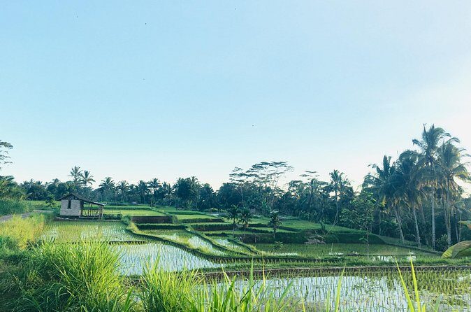 Benang kelambu waterfall and benang stokel waterfall lombok - FAQ