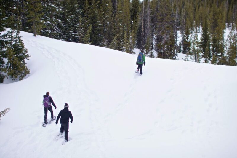 Bend: Half-Day Shoes, Brews, and Views Tour - Who Should Consider This Tour?