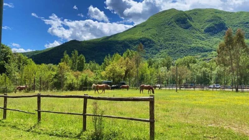 Benevento: Horseback Riding Tour with Aperitif - Benevento: Horseback Riding Tour with Aperitif — A Genuine Taste of Campania’s Nature