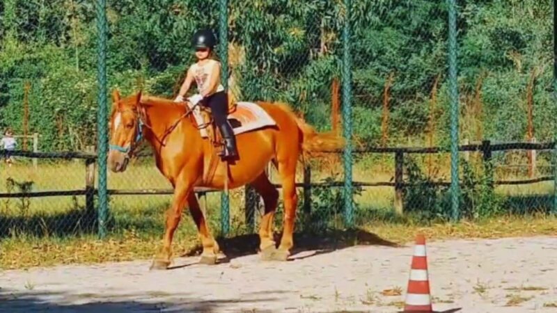 Benevento: Horseback Riding Tour with Aperitif - Frequently Asked Questions