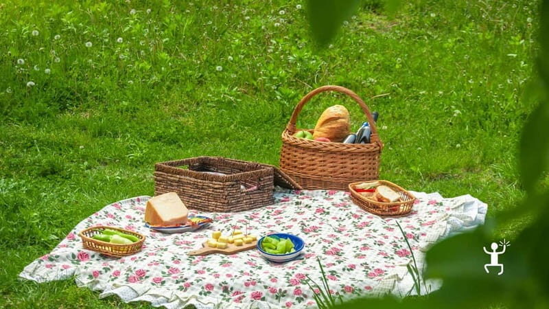 Benevento: picnic among the olive groves of the Sannio and tour of the estate - Final Thoughts