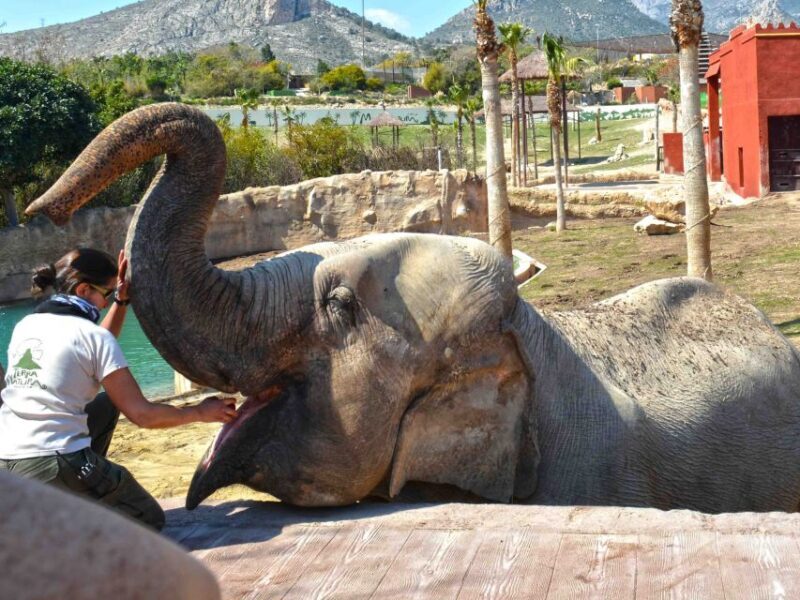 Benidorm: Terra Natura Theme Park 1-Day Tickets - Exploring Terra Natura in Depth