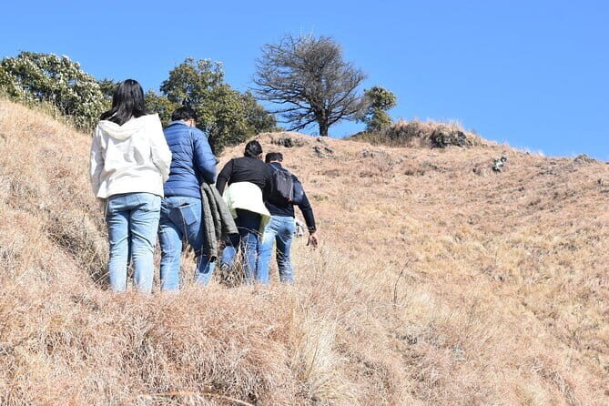 Benog Trek into the Wild - Key Points