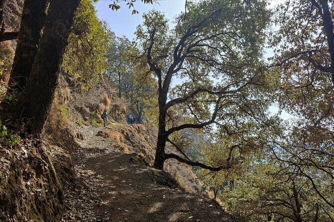 Benog Trek into the Wild - A Closer Look at the Benog Trek into the Wild