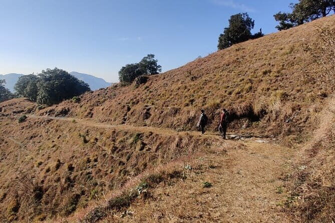 Benog Trek into the Wild - Final Thoughts: Is It Worth It?