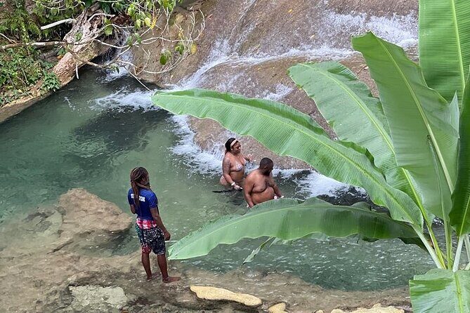 Benta River & Falls Private Tour From Montego Bay/Negril - The Transport and Group Size