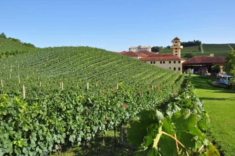 Bento: DayTour Privado Vale Vinhedos saindo de Porto Alegre - Engaging Introduction