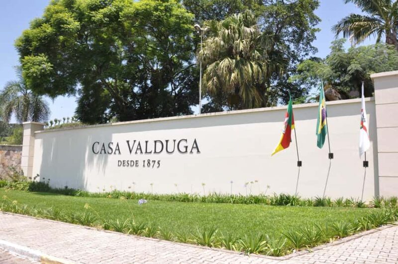 Bento: DayTour Privado Vale Vinhedos saindo de Porto Alegre - Who This Tour Is Best For